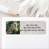 キリン住所 シール (インサイチュ)