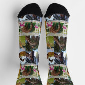 キリン写真コラージュ、クルーソックス ソックス (上部)