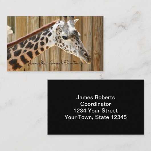 キリン写真名刺 名刺 (正面/裏面)