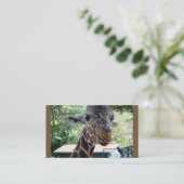 キリン名刺 名刺 (スタンド正面)