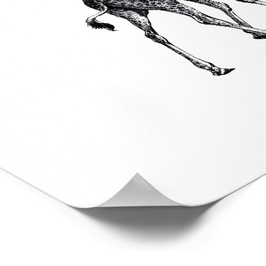 キリン完全体動物ヴィンテージスケッチデザイン ポスター (角)