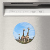 キリン家族の草原の丘 マグネット (インサイチュ (食洗機))