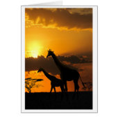 キリン家族2 (正面)