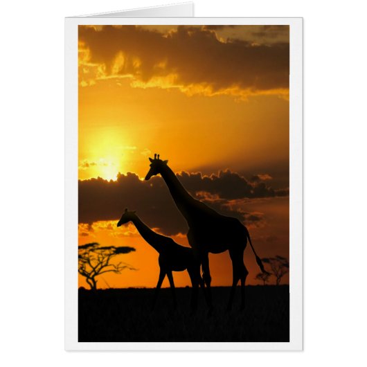 キリン家族2 (正面)