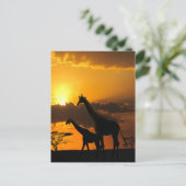 キリン家族2 ポストカード (スタンド正面)