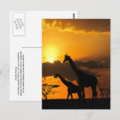 キリン家族2 ポストカード (正面/裏面)