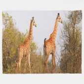 キリン対 フリースブランケット (正面(横))