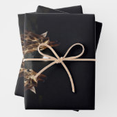 キリン愛の月の光の下,誕生日 ラッピングペーパーシート (インサイチュ)