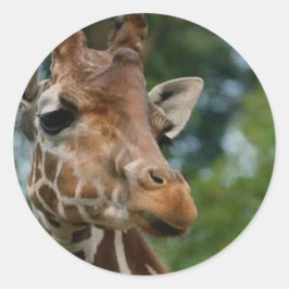 キリン愛好家アートギフト ラウンドシール