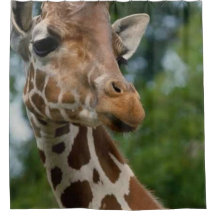 キリン愛好家アートシャワーカーテン