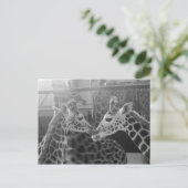 キリン愛 ポストカード (スタンド正面)