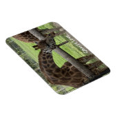 キリン愛… マグネット (右側)