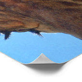 キリン接写とサンシャインフォトプリント ポスター (角)