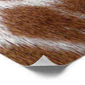 キリン斑 ポスター (角)