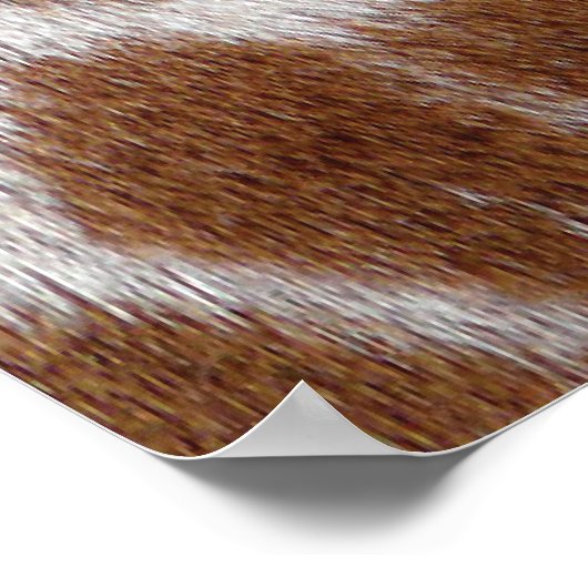 キリン斑 ポスター (角)