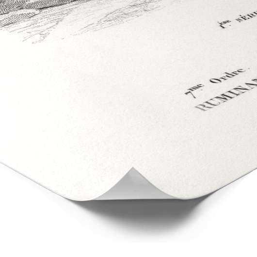 キリン柄 ポスター (角)