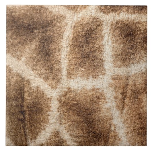 キリン模様 タイル (正面)