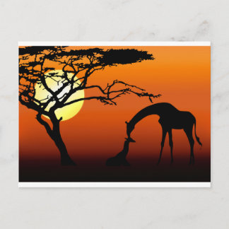 キリン母とアフリカの夕日のベビー ポストカード