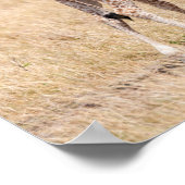 キリン母とケニアベビー ポスター (角)