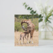 キリン母とケニアベビー ポストカード (スタンド正面)