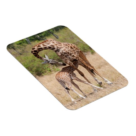 キリン母とケニアベビー マグネット (右側)