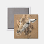 キリン注視マグネット マグネット (正面/裏面)