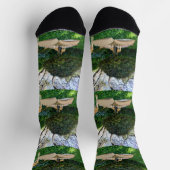 キリン物語ブックタイム、クルーソックス ソックス (上部)