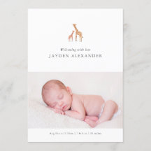 キリン生誕発表