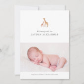 キリン生誕発表 案内状 (正面)