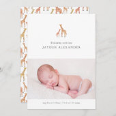 キリン生誕発表 案内状 (正面/裏面)