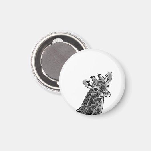 キリン磁石 マグネット (正面/裏面)