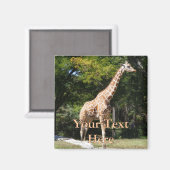 キリン磁石 マグネット (正面/裏面)