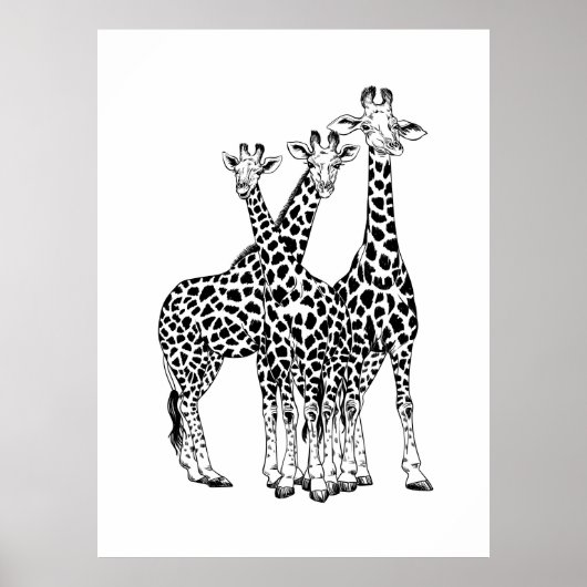 キリン科 ポスター (正面)