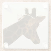 キリン網膜プロフィール ガラスコースター (裏面)