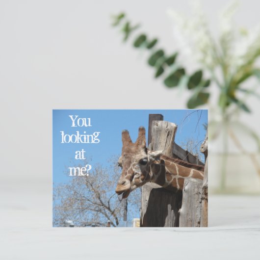 キリン舌 ポストカード (スタンド正面)