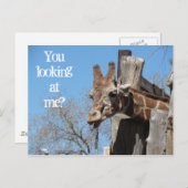 キリン舌 ポストカード (正面/裏面)