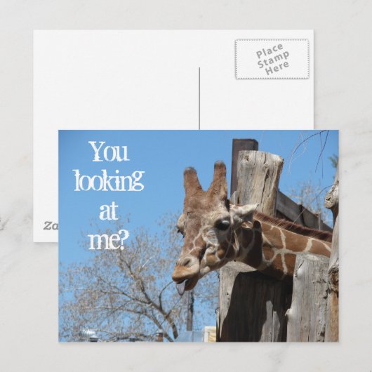 キリン舌 ポストカード (正面/裏面)