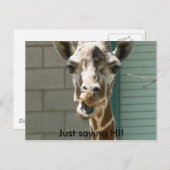 キリン葉書 ポストカード (正面/裏面)