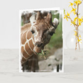 キリン軽食グリーティングカード カード (黄色い花)