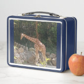 キリン金属弁当箱 メタルランチボックス (インサイチュ)