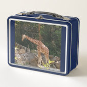 キリン金属弁当箱 メタルランチボックス (正面)