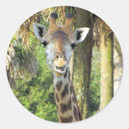 キリン間抜けステッカー ラウンドシール