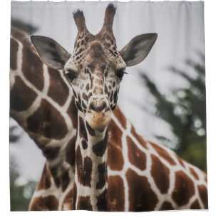キリン頭キリン毛皮プリントアフリカ動物 シャワーカーテン