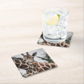 キリン頭キリン毛皮プリントアフリカ動物 スクエアペーパーコースター (インサイチュ)