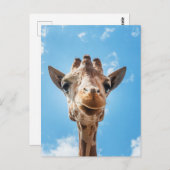 キリン顔クローズアップ写真はがき ポストカード (正面/裏面)