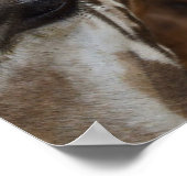 キリン顔ポスター ポスター (角)