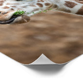 キリン食べの草 ポスター (角)