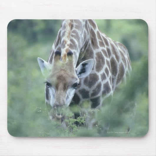 キリン食べ物を与えオン マウスパッド (正面)
