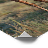 キリン2 ポスター (角)