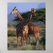 キリン2 ポスター (正面)